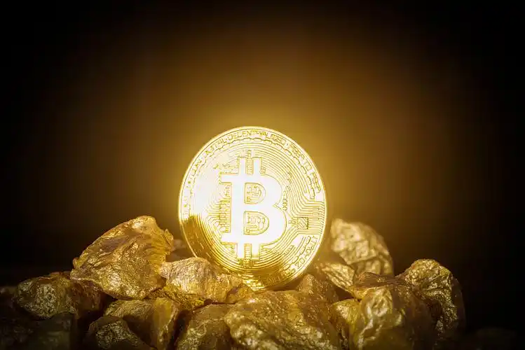 A modern mining farm with multiple rigs